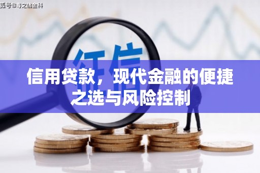 苏家屯信用贷款，现代金融的便捷之选与风险控制