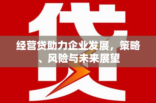 苏家屯经营贷助力企业发展，策略、风险与未来展望