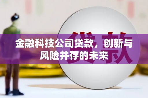 苏家屯金融科技公司贷款，创新与风险并存的未来