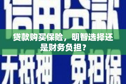 苏家屯贷款购买保险，明智选择还是财务负担？