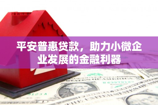 苏家屯平安普惠贷款，助力小微企业发展的金融利器