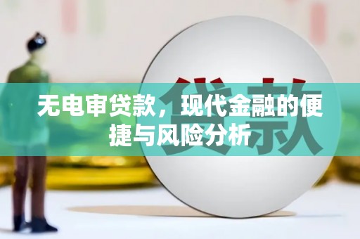 苏家屯无电审贷款，现代金融的便捷与风险分析