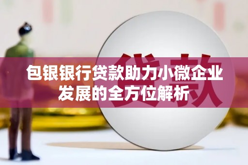 苏家屯包银银行贷款助力小微企业发展的全方位解析