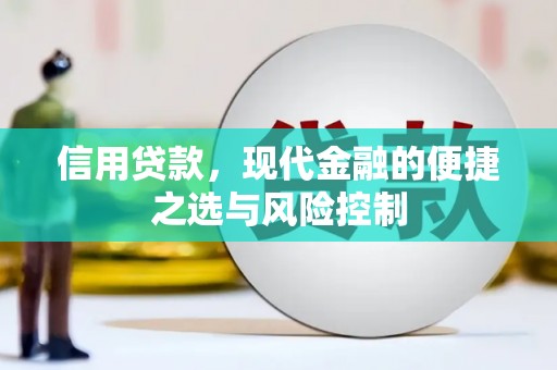 苏家屯信用贷款，现代金融的便捷之选与风险控制