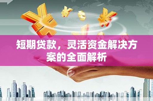 苏家屯短期贷款，灵活资金解决方案的全面解析