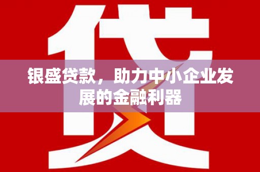 苏家屯银盛贷款，助力中小企业发展的金融利器