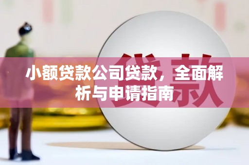 苏家屯小额贷款公司贷款，全面解析与申请指南