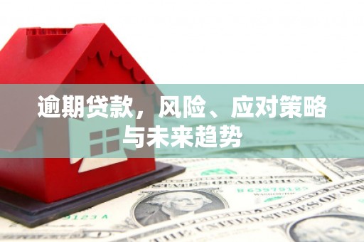苏家屯逾期贷款，风险、应对策略与未来趋势