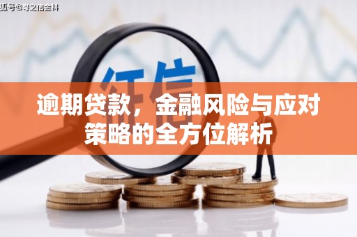 苏家屯逾期贷款，金融风险与应对策略的全方位解析
