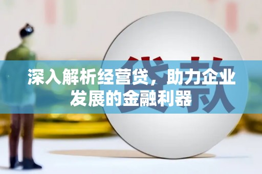 苏家屯深入解析经营贷，助力企业发展的金融利器