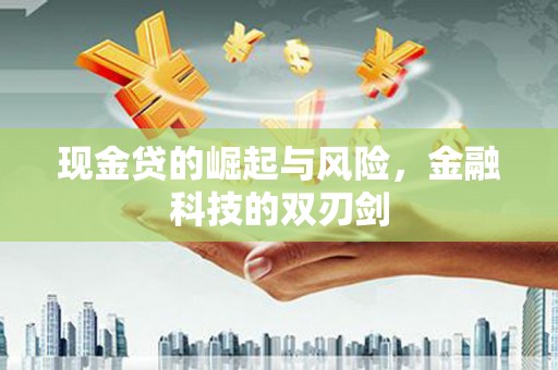 苏家屯现金贷的崛起与风险，金融科技的双刃剑