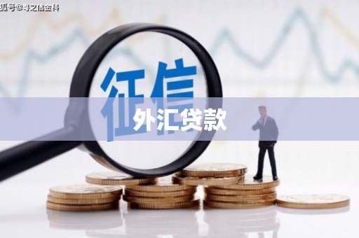 苏家屯外汇贷款