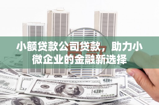 苏家屯小额贷款公司贷款，助力小微企业的金融新选择