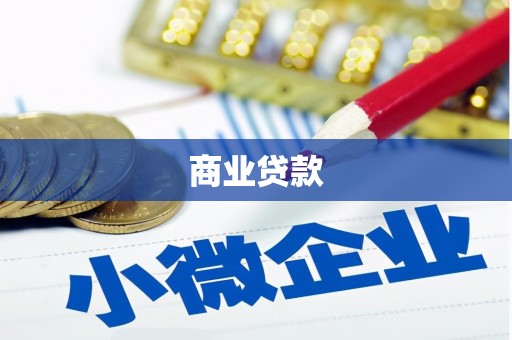 苏家屯商业贷款