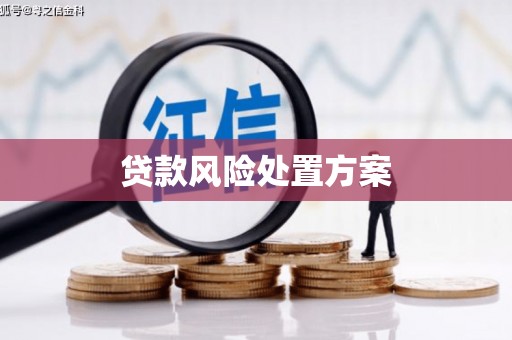 苏家屯贷款风险处置方案