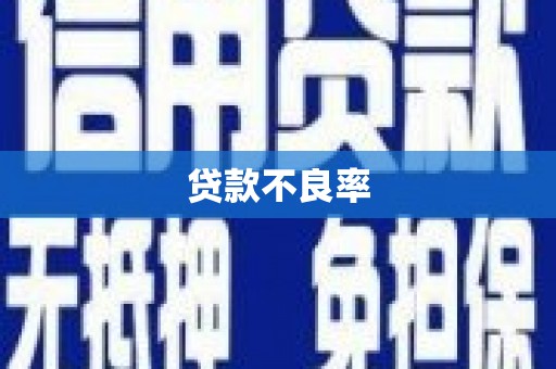 苏家屯贷款不良率