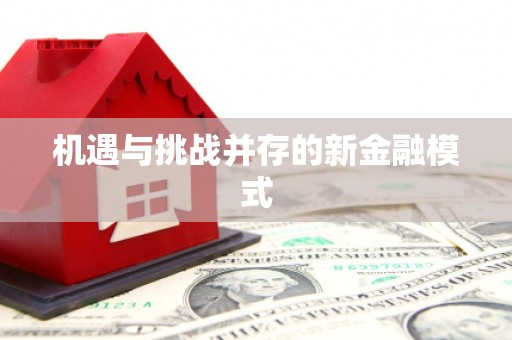 苏家屯机遇与挑战并存的新金融模式