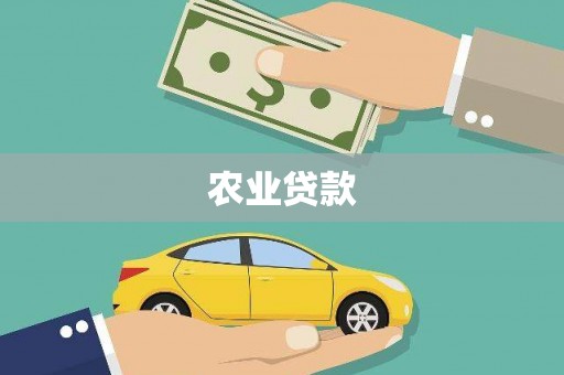 苏家屯农业贷款