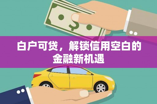 苏家屯白户可贷，解锁信用空白的金融新机遇