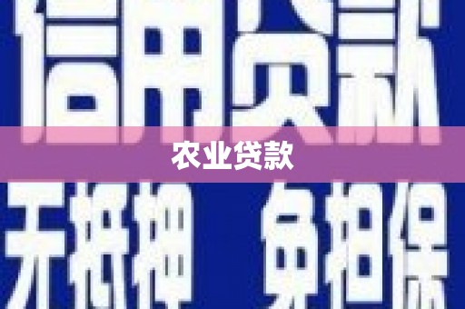 苏家屯农业贷款