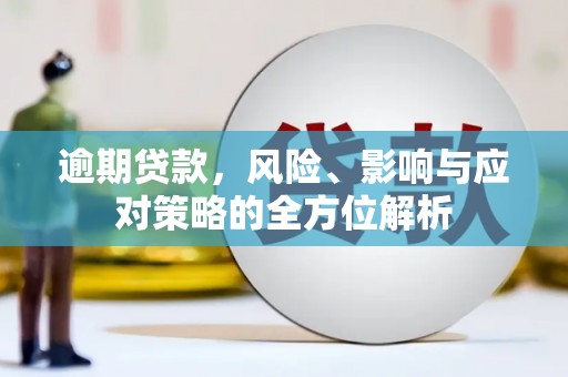 苏家屯逾期贷款，风险、影响与应对策略的全方位解析