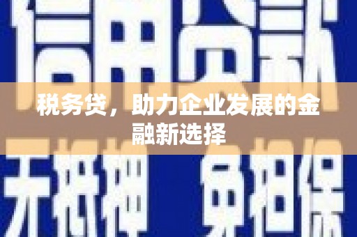 苏家屯税务贷，助力企业发展的金融新选择