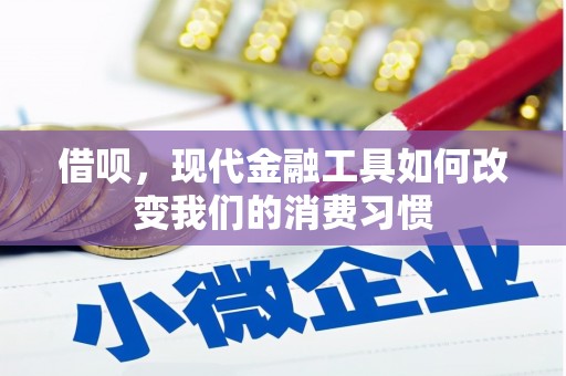 苏家屯借呗，现代金融工具如何改变我们的消费习惯
