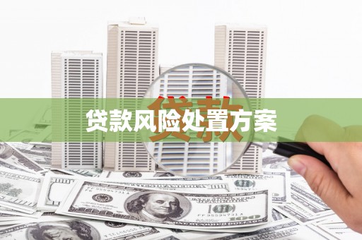 苏家屯贷款风险处置方案