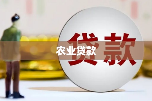 苏家屯农业贷款