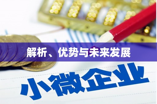 苏家屯解析、优势与未来发展