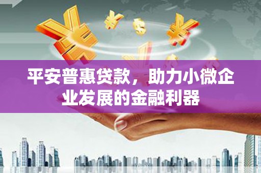 苏家屯平安普惠贷款，助力小微企业发展的金融利器