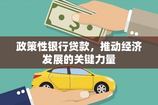 苏家屯政策性银行贷款，推动经济发展的关键力量
