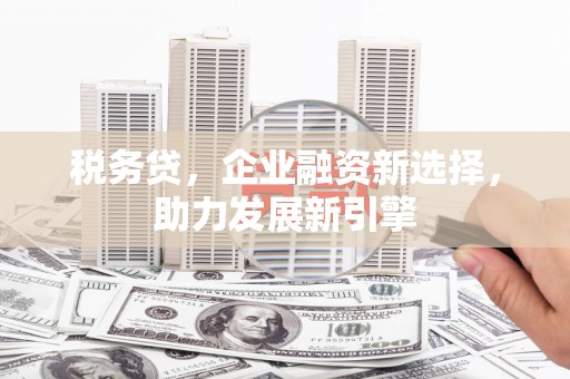 苏家屯税务贷，企业融资新选择，助力发展新引擎