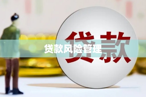 苏家屯贷款风险管理