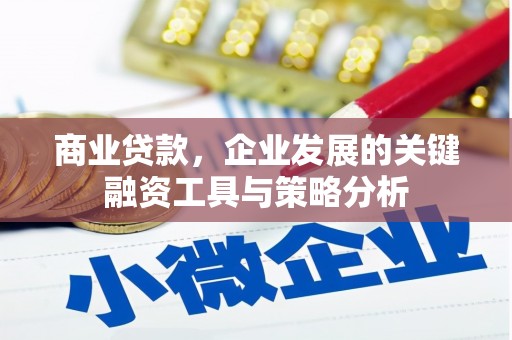 苏家屯商业贷款，企业发展的关键融资工具与策略分析