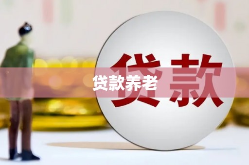 苏家屯贷款养老