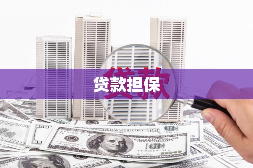 苏家屯贷款担保