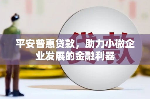苏家屯平安普惠贷款，助力小微企业发展的金融利器