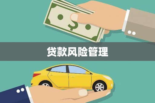 苏家屯贷款风险管理