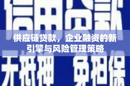 苏家屯供应链贷款，企业融资的新引擎与风险管理策略