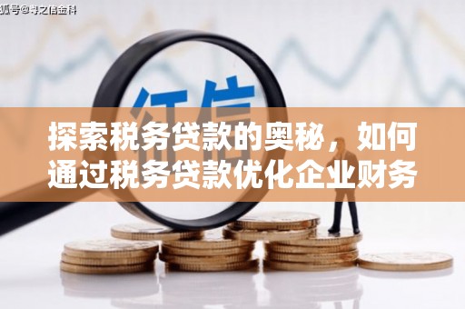 苏家屯探索税务贷款的奥秘，如何通过税务贷款优化企业财务