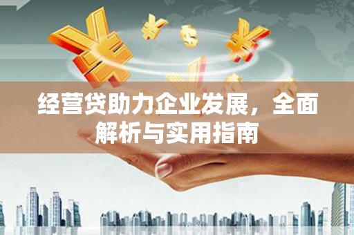 苏家屯经营贷助力企业发展，全面解析与实用指南