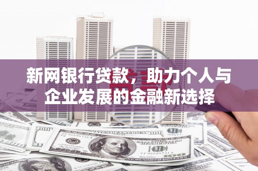 苏家屯新网银行贷款，助力个人与企业发展的金融新选择
