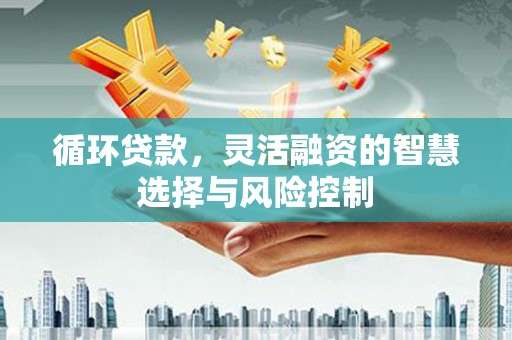 苏家屯循环贷款，灵活融资的智慧选择与风险控制