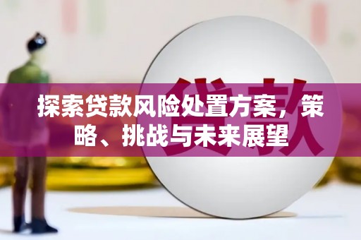 苏家屯探索贷款风险处置方案，策略、挑战与未来展望
