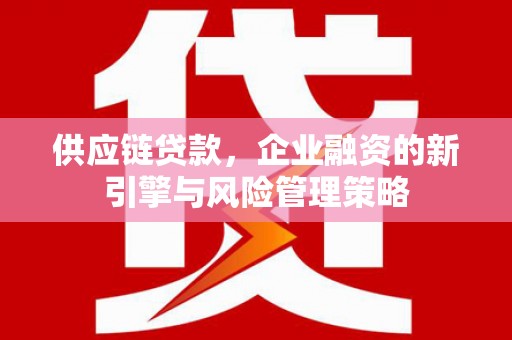苏家屯供应链贷款，企业融资的新引擎与风险管理策略