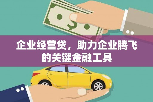 苏家屯企业经营贷，助力企业腾飞的关键金融工具