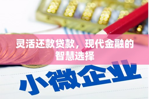苏家屯灵活还款贷款，现代金融的智慧选择