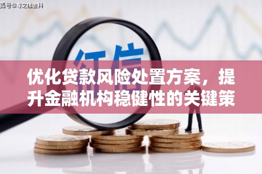 苏家屯优化贷款风险处置方案，提升金融机构稳健性的关键策略