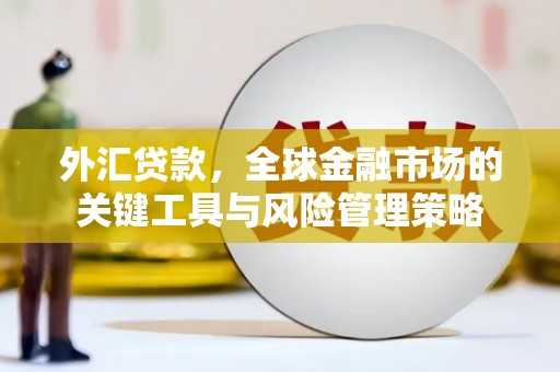 苏家屯外汇贷款，全球金融市场的关键工具与风险管理策略
